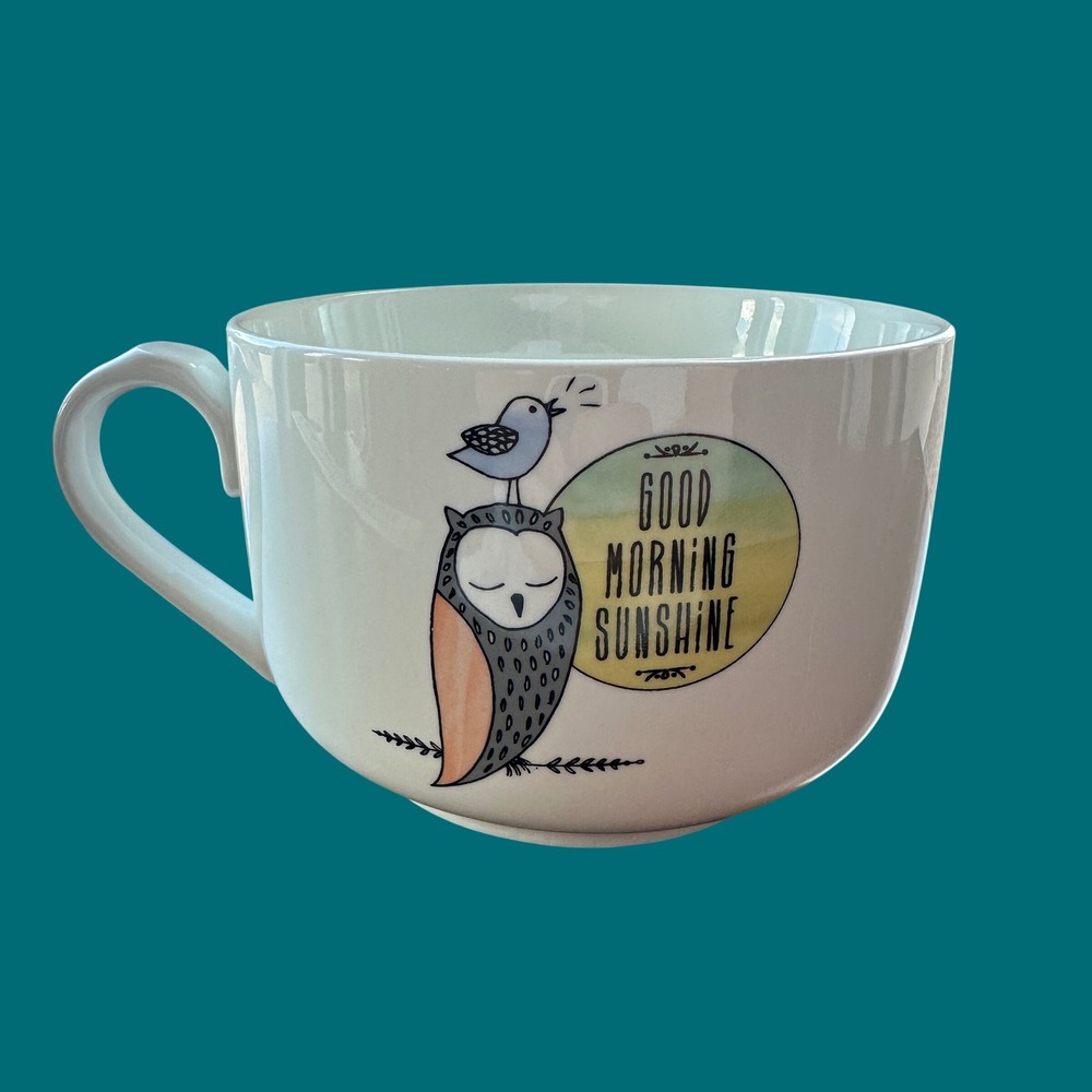 Ciroa Soup Mug Owl Bird Good Morning Sunshine White Porcelain‎ Large Bowl 5in
